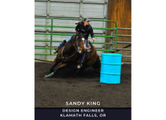 Image for - Sandy King
