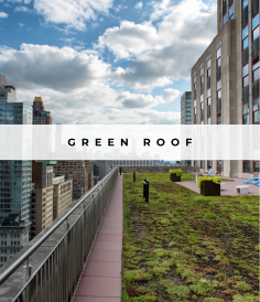 Image for - Green Roof Systems
