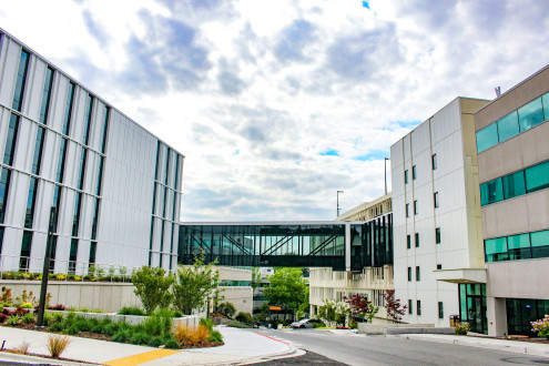 Image for - UW Medicine at Valley Medical Center (Renton, WA)