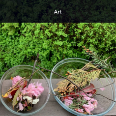 Image for - Art