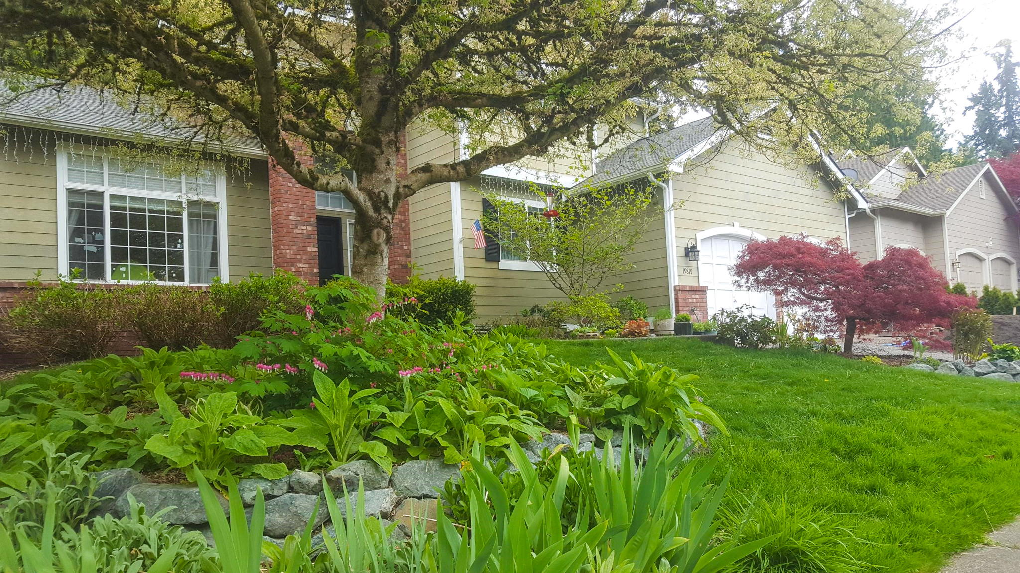 A beautifully landscaped front yard